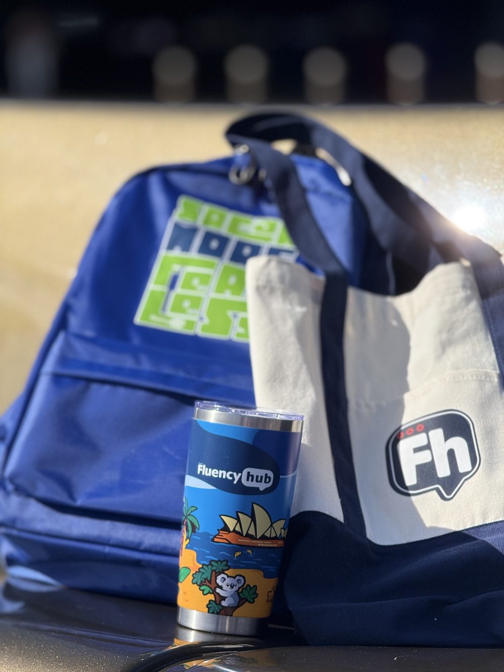 Welcome Kit da Fluency Hub